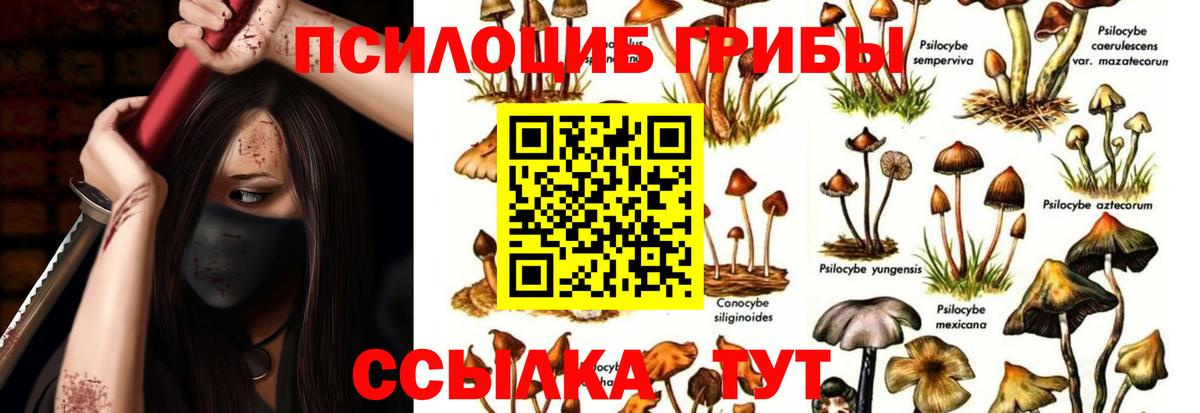 Галлюциногенные грибы мицелий Выборг